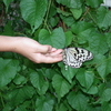 DSCF2825