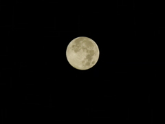 DSCF2599