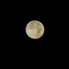 DSCF2599