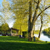 MOUNT VERNON, WA