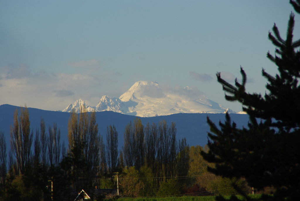 Mt. Baker