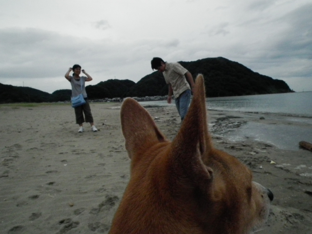 気比の浜にて