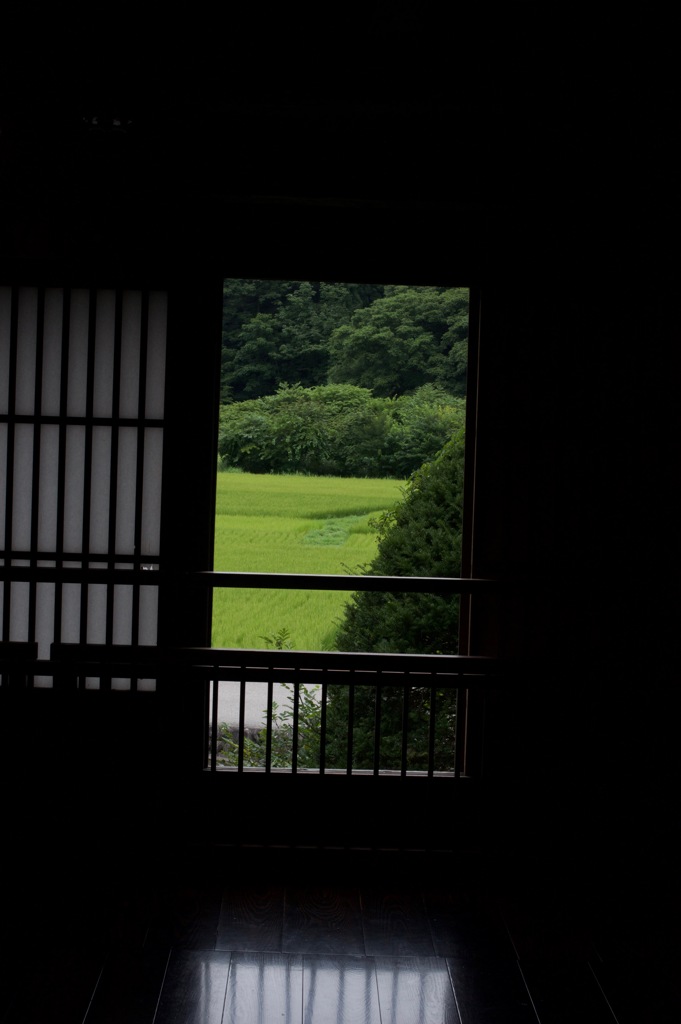 田んぼ
