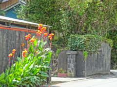 DSC00370[1]