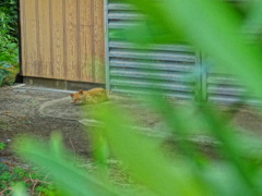 DSC00369[1]