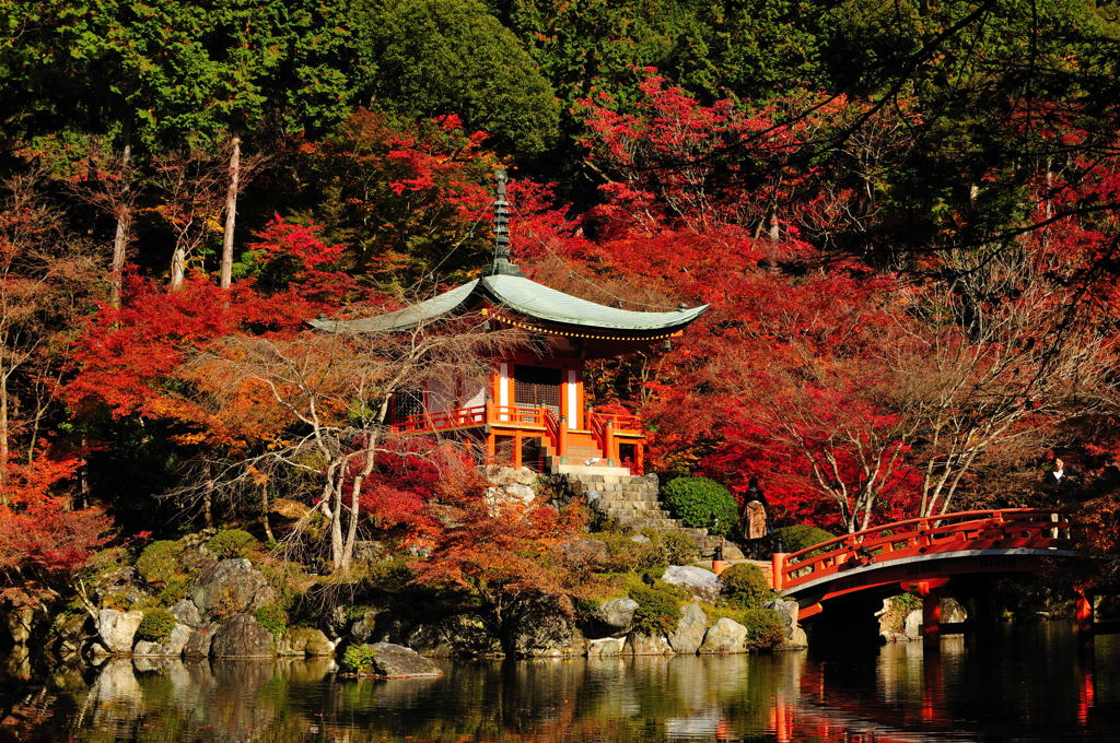 醍醐寺2012