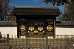 醍醐寺2012