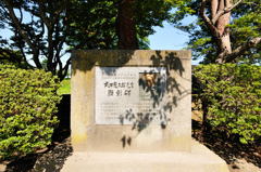 五稜郭公園にて4