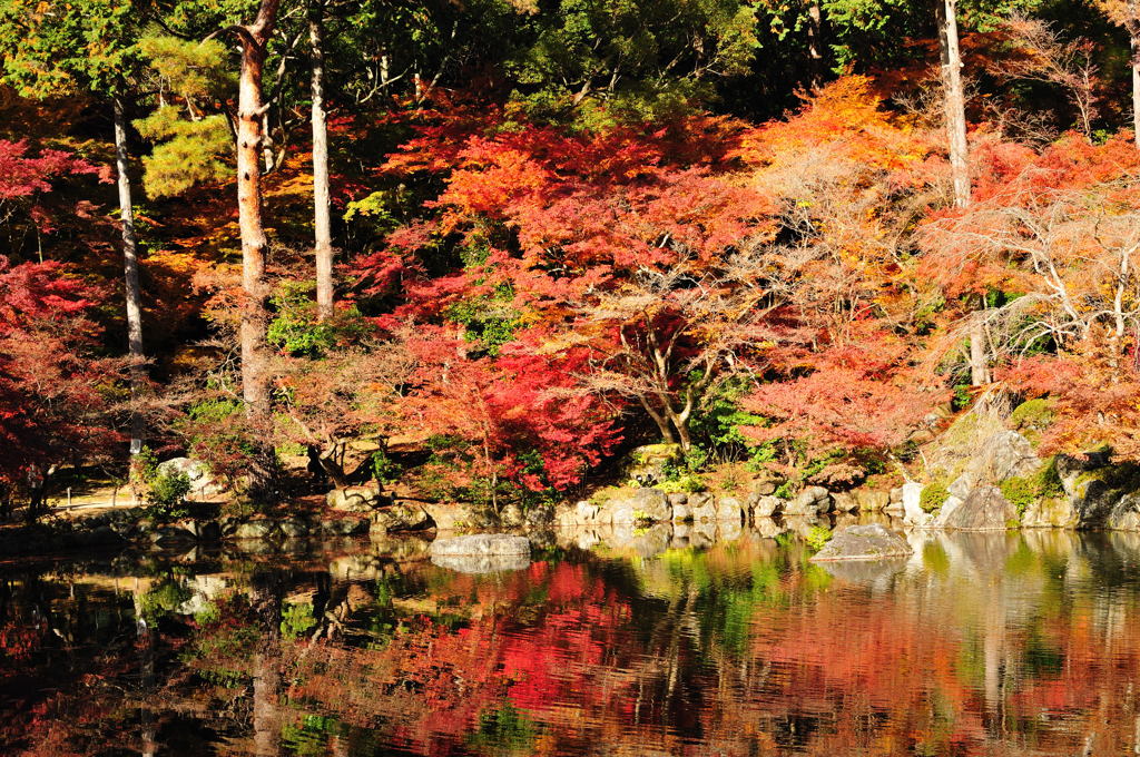 醍醐寺2012