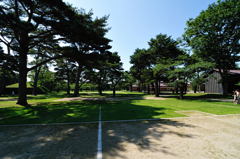 五稜郭公園にて8