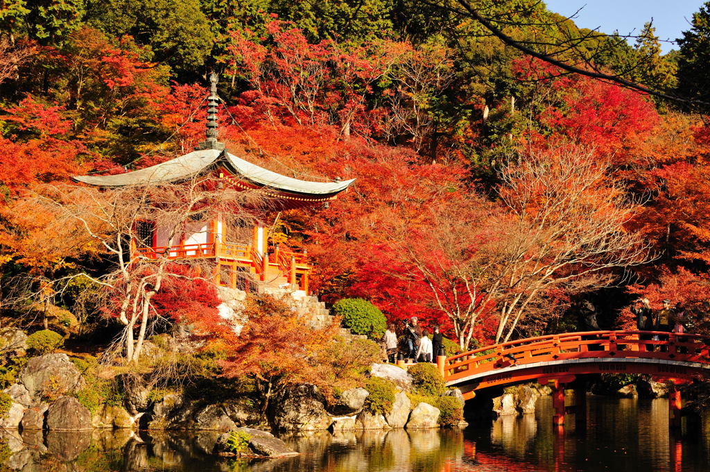 醍醐寺2012
