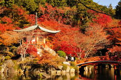 醍醐寺2012