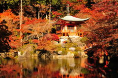 醍醐寺2012
