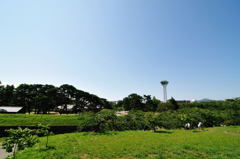 五稜郭公園にて7