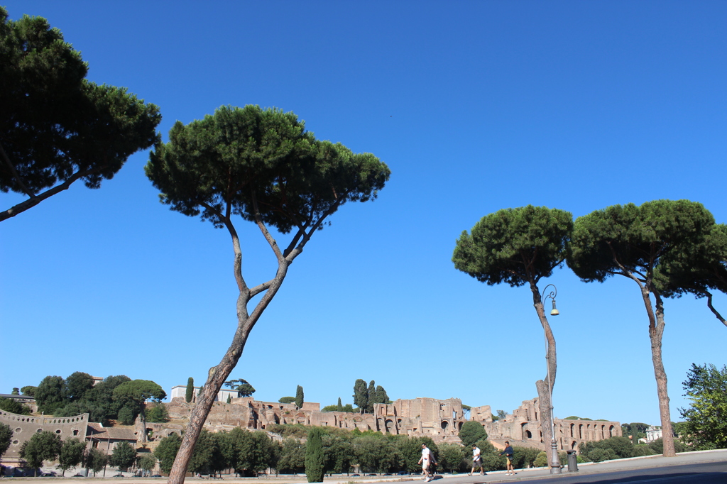 Circo Massimo
