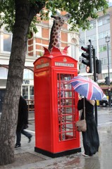 Giraffe
