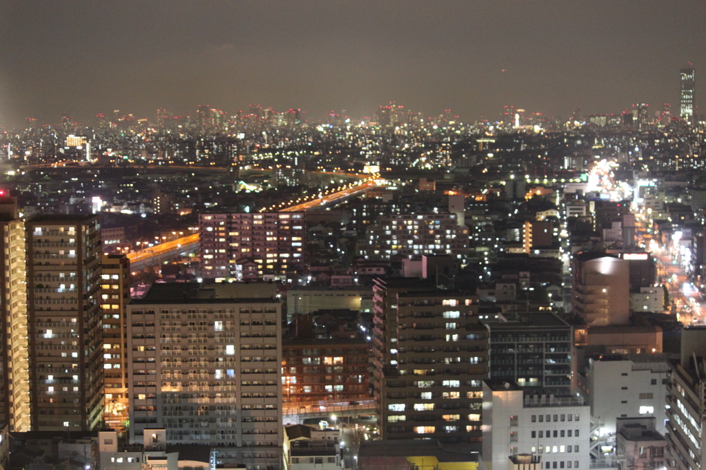 堺市役所展望台から　2012.09.14