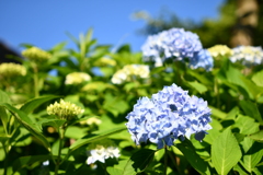 817C8957-34DB-4ECD-9C58-656C565D285A