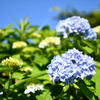 817C8957-34DB-4ECD-9C58-656C565D285A
