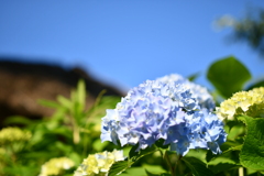 A490A98C-9669-42AB-BE66-0AAE48EEE74E