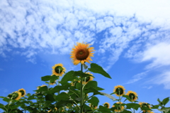 リーダーシップ