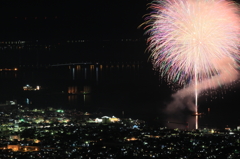 湾内に咲く一輪の光花