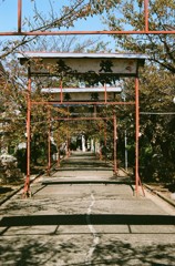 神社への道