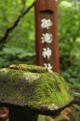 雨上がり登山1