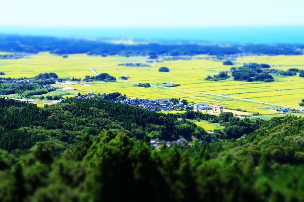 田園模型？