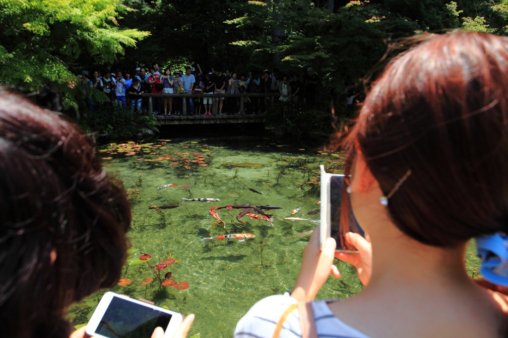 A pond