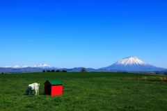 遥かとおく