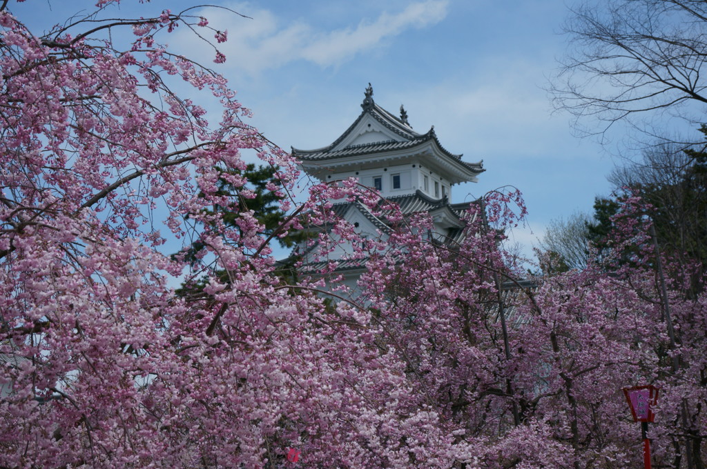 水の都　大垣　散歩