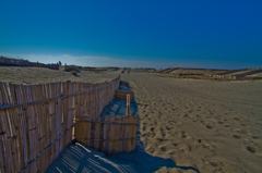 砂丘の防砂柵