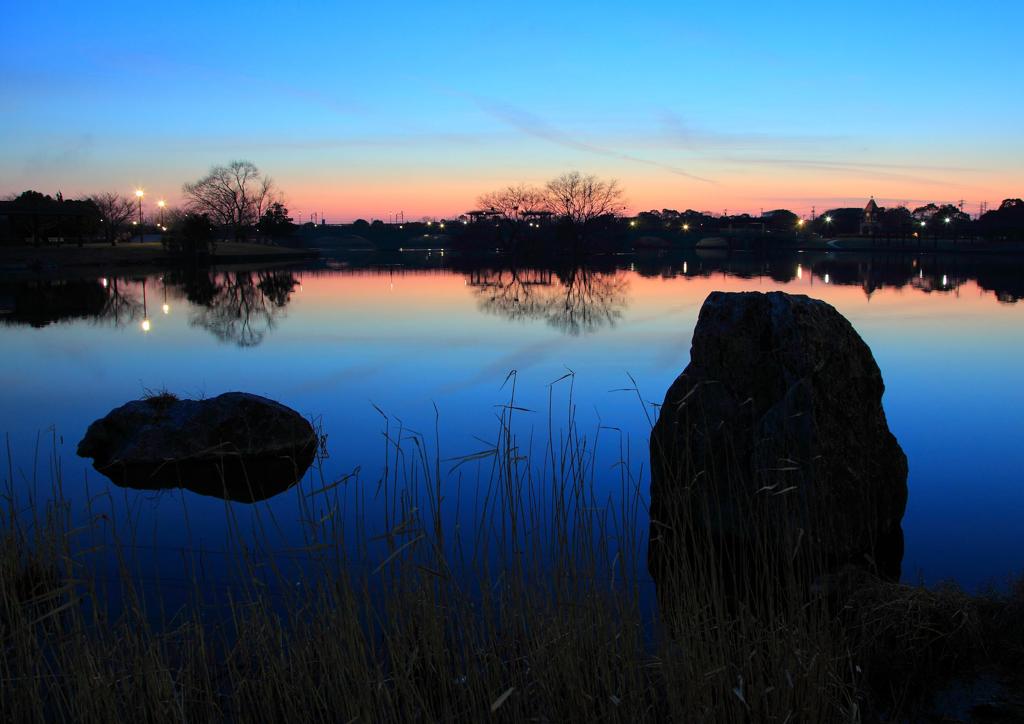 By the pond