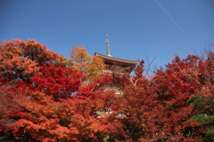 清水寺の三重塔、紅葉の盛りに。