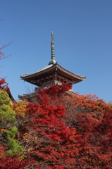 清水寺の三重塔、紅葉と青空。
