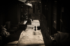 猫と路地