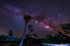 星降る夜に・・・
