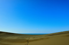 空と海と砂丘