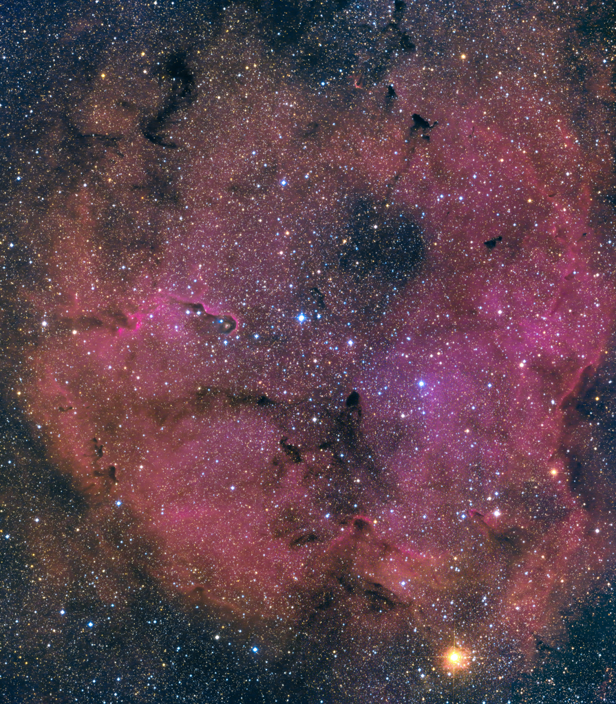 IC1396 散開星団　　　　　　　
