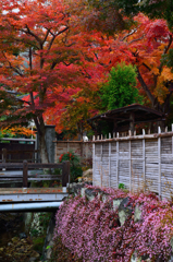 来客