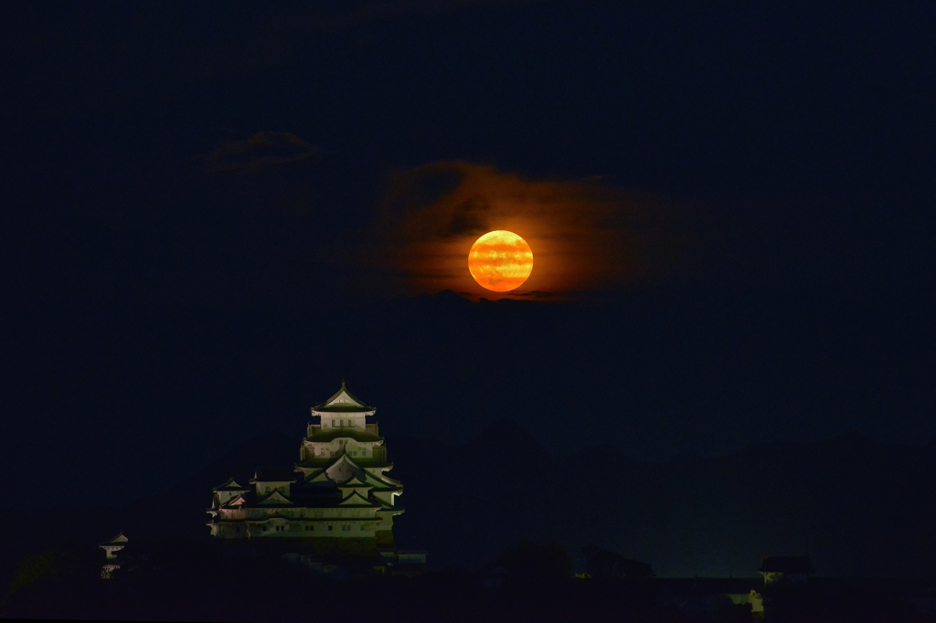 名月と姫路城