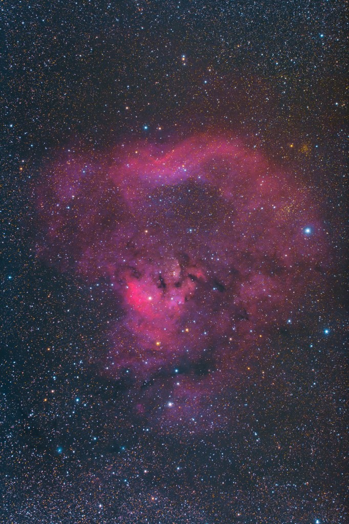 NGC7822～ced214　（再処理、）