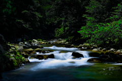 流れ