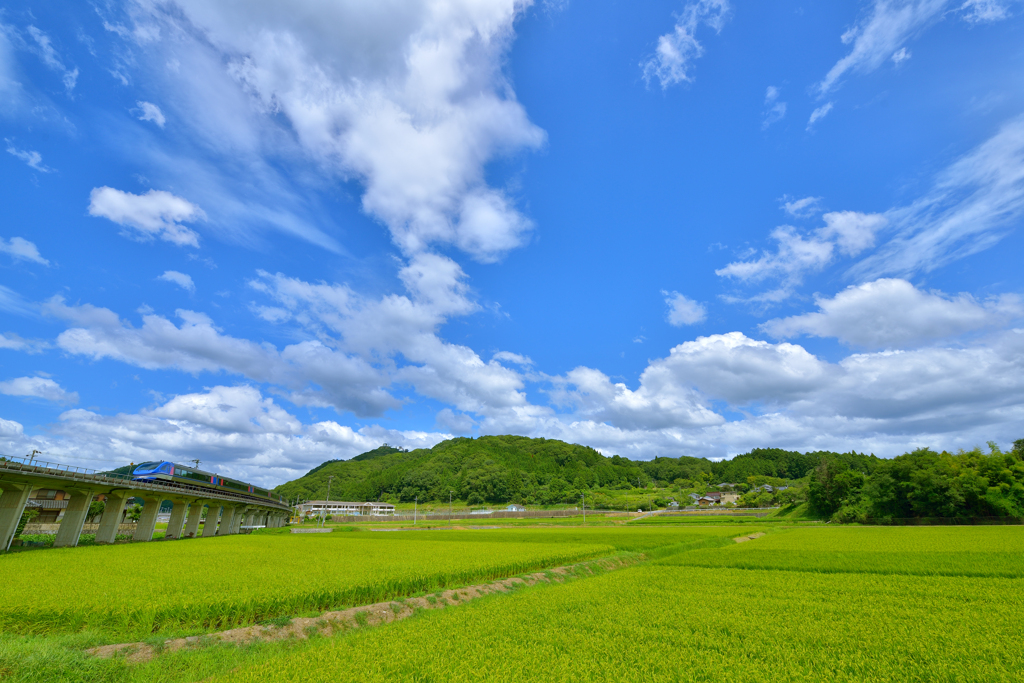 スカッと爽やか智頭急行