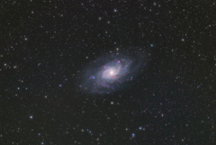 M-33