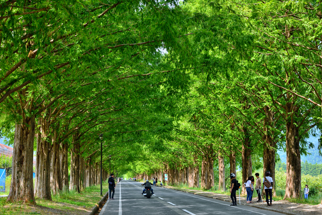 Green street