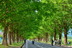 Green street
