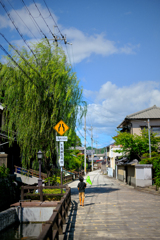 夏休みの路地