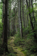 帰り道